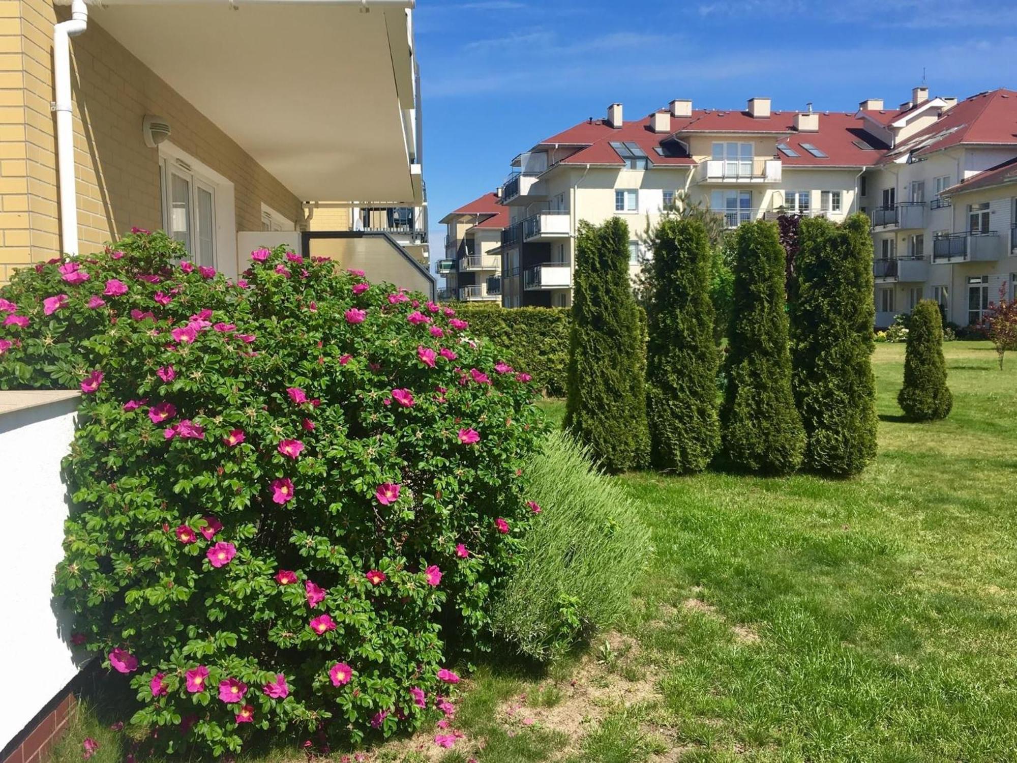 Baltic Apartament Studio Z Ogrodkiem Grzybowo Kolobrzeg エクステリア 写真